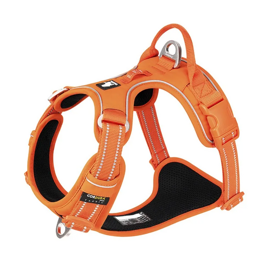 Reflective Dog Harness with Leash – Adjustable Padded Safety Harness for Night Walks