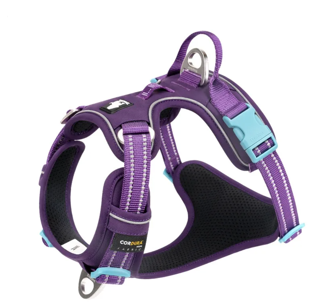 Reflective Dog Harness with Leash – Adjustable Padded Safety Harness for Night Walks
