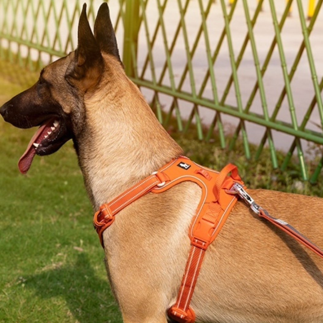 Reflective Dog Harness with Leash – Adjustable Padded Safety Harness for Night Walks