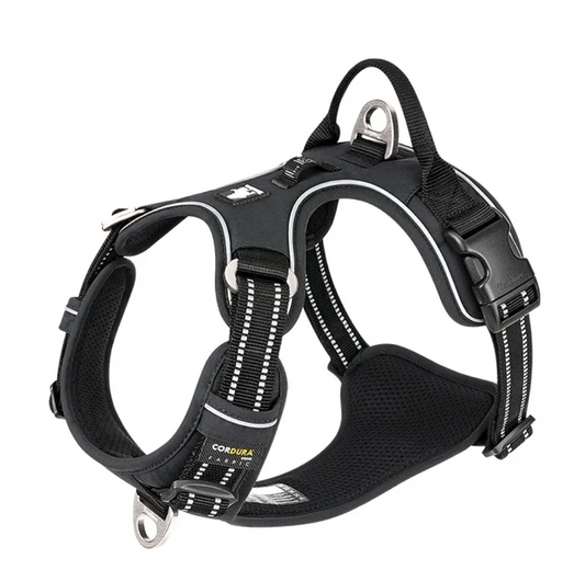 Reflective Dog Harness with Leash – Adjustable Padded Safety Harness for Night Walks