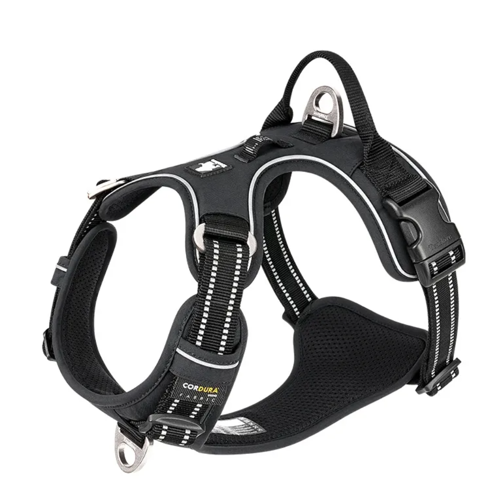 Reflective Dog Harness with Leash – Adjustable Padded Safety Harness for Night Walks